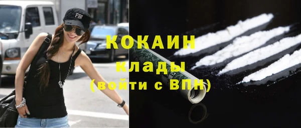прущий лед Алзамай