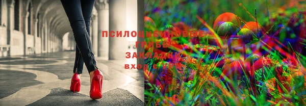 прущий лед Алзамай