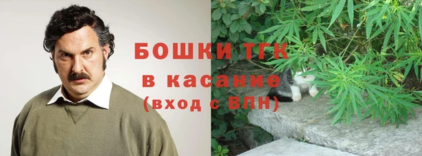 прущий лед Алзамай