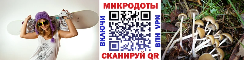 Псилоцибиновые грибы мицелий  цена   Челябинск 